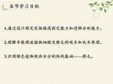 北师大版生物七年级上册 5.3 吸收作用(2)（课件）