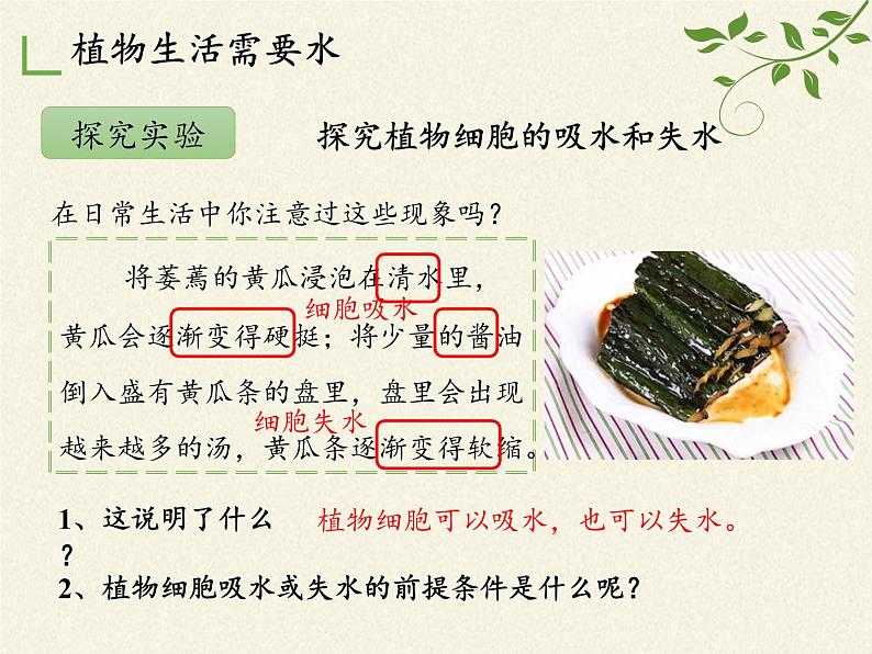 北师大版生物七年级上册 5.3 吸收作用(2)（课件）07