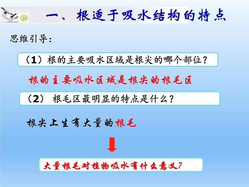 北师大版生物七年级上册 5.3 吸收作用—植物对水分的吸收（课件）第6页