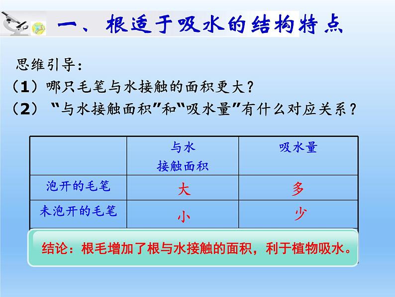 北师大版生物七年级上册 5.3 吸收作用—植物对水分的吸收（课件）第8页