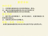 北师大版生物七年级上册 5.3 吸收作用(5)（课件）