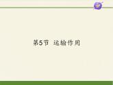 北师大版生物七年级上册 5.5  运输作用(3)（课件）