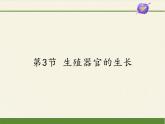 北师大版生物七年级上册 6.3 生殖器官的生长(1)（课件）