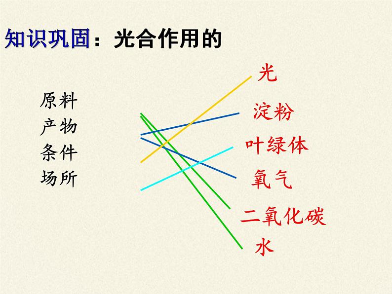 北师大版生物七年级上册 5.1 光合作用(5)（课件）第2页