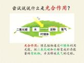 北师大版生物七年级上册 5.1 光合作用(5)（课件）