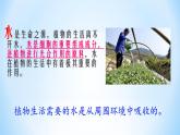 北师大版生物七年级上册 5.3 吸收作用——植物细胞的吸水与失水（课件）