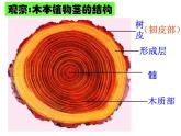 北师大版生物七年级上册 5.5  运输作用_（课件）