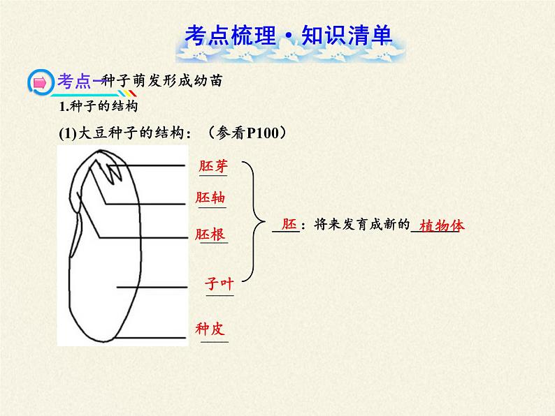 北师大版生物七年级上册 6.3 生殖器官的生长(6)（课件）第2页