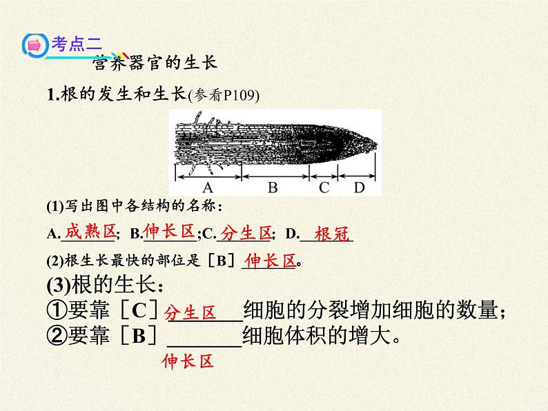 北师大版生物七年级上册 6.3 生殖器官的生长(6)（课件）第8页