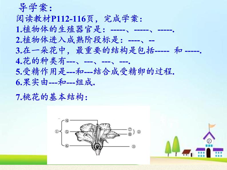 北师大版生物七年级上册 6.3  生殖器官的生长(4)（课件）第5页