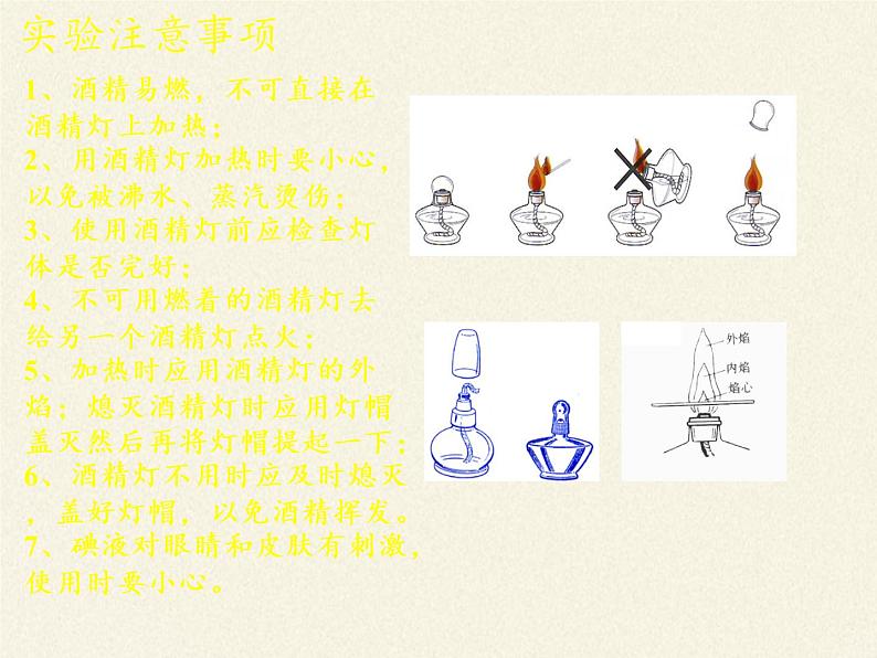 北师大版生物七年级上册 5.1 光合作用(6)（课件）第5页