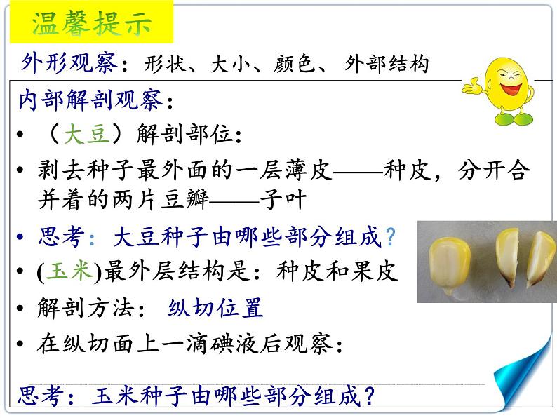 北师大版生物七年级上册 6.1 种子萌发形成幼苗(2)（课件）第8页