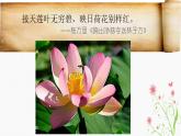 北师大版生物七年级上册 6.3 生殖器官的生长（课件）