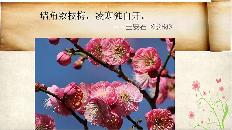 北师大版生物七年级上册 6.3 生殖器官的生长（课件）06