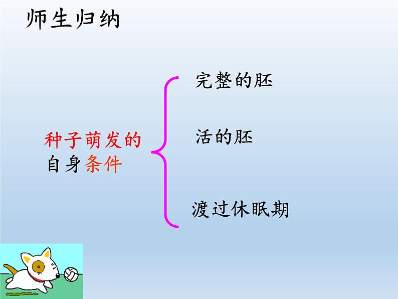 北师大版生物七年级上册 6.1 种子萌发形成幼苗(3)（课件）第4页