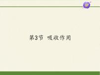 北师大版七年级上册第三单元  生物圈中的绿色植物第5章  绿色开花植物的生活方式第3节 吸收作用示范课ppt课件