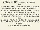 北师大版生物七年级上册 6.3 生殖器官的生长（课件）