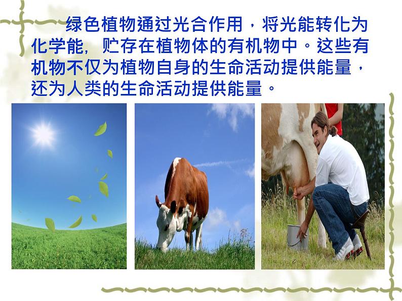 北师大版生物七年级上册 7.1 绿色植物在生物圈中的作用_（课件）第3页