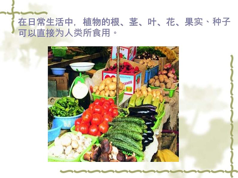 北师大版生物七年级上册 7.1 绿色植物在生物圈中的作用_（课件）第5页