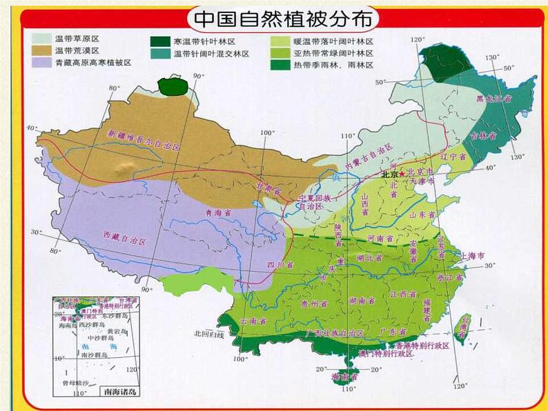 北师大版生物七年级上册 7.2 我国的植物资源（课件）07