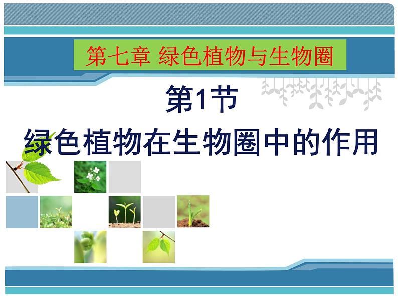 北师大版生物七年级上册 7.1 绿色植物在生物圈中的作用（课件）02