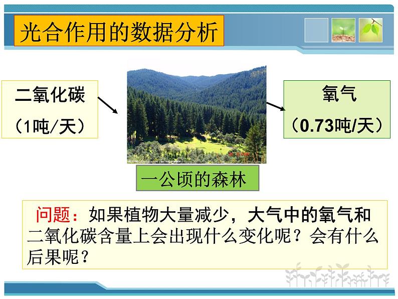 北师大版生物七年级上册 7.1 绿色植物在生物圈中的作用（课件）07