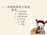 北师大版生物七年级上册 7.2 我国的植物资源(1)（课件）
