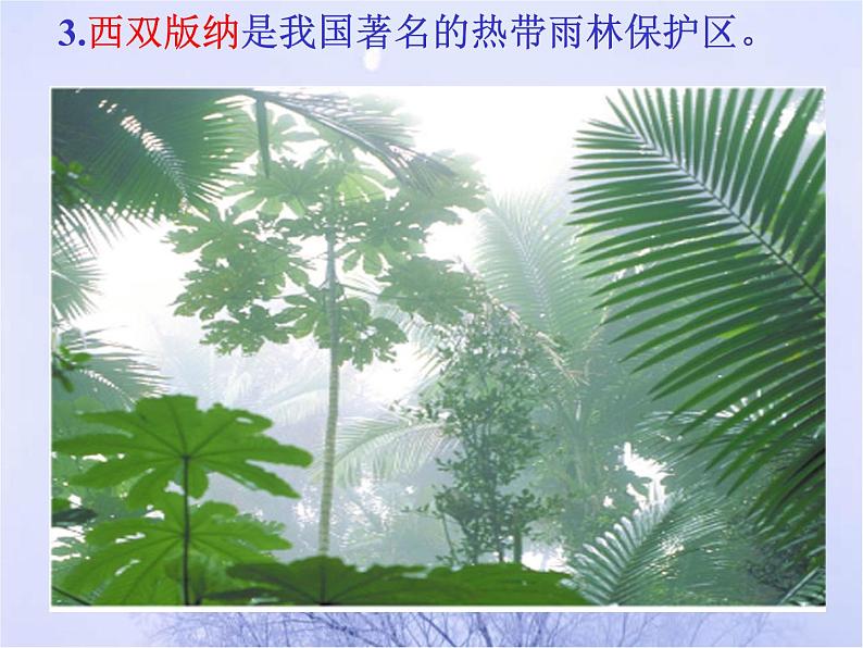 北师大版生物七年级上册 7.2 我国的植物资源_（课件）第4页