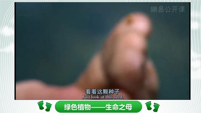 北师大版生物七年级上册 7.1  绿色植物在生物圈中的作用（课件）04