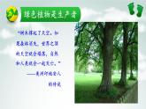 北师大版生物七年级上册 7.1  绿色植物在生物圈中的作用（课件）