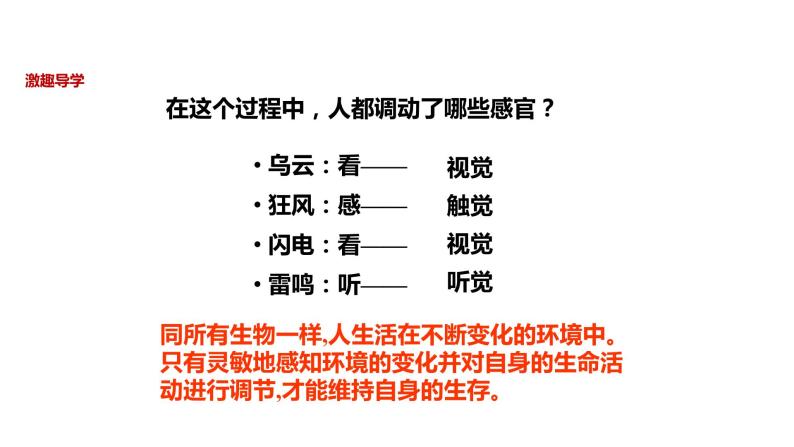 人教版七年级生物下册 第4单元第6章第1节《人体对外界环境的感知》课件03