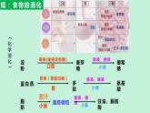 人教版七年级生物下册4.2.2 消化和吸收(第2课时）课件