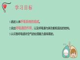 人教版七年级生物下册4.3.1呼吸道对空气的处理 课件