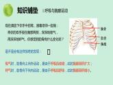 人教版七年级生物下册4.3.2发生在肺内的气体交换（第1课时）课件