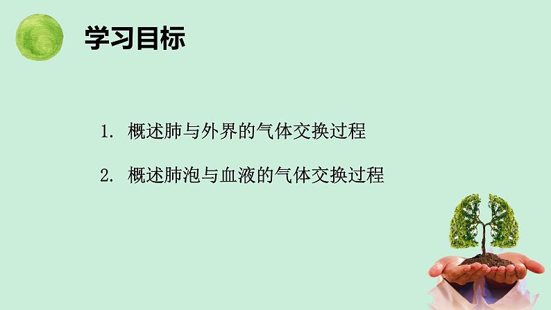 人教版七年级生物下册4.3.2发生在肺内的气体交换（第1课时）课件07