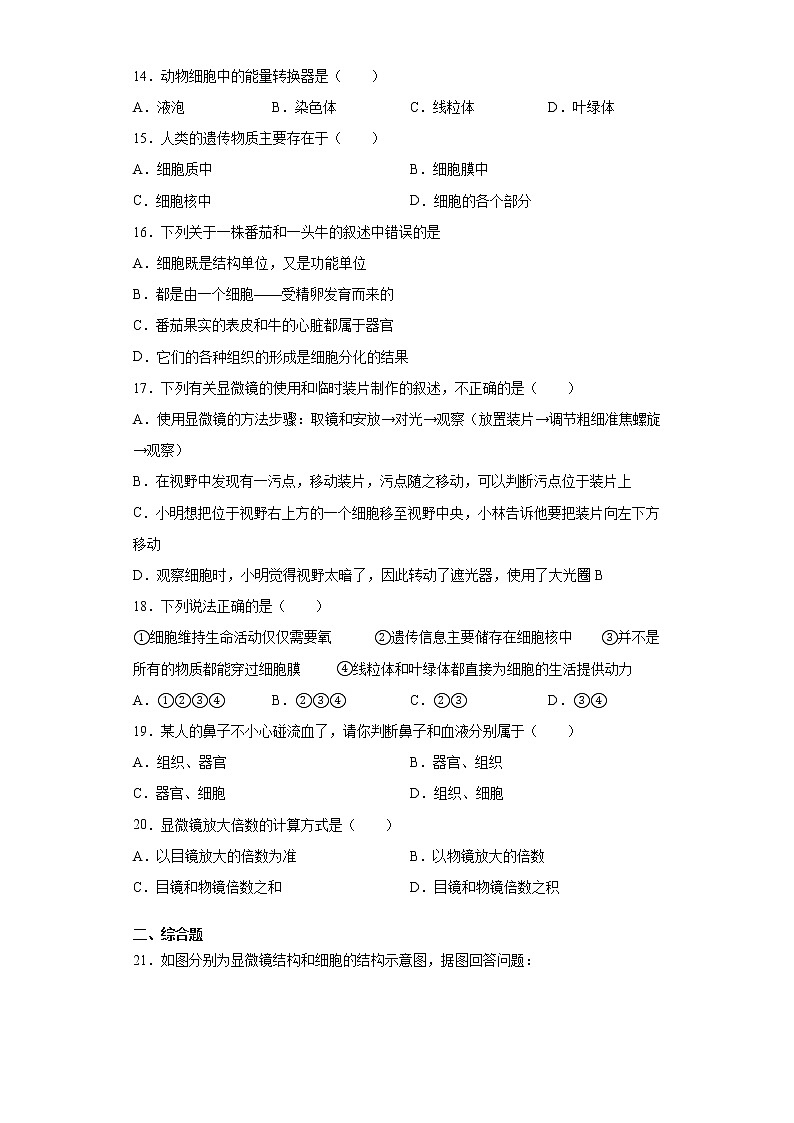 江西省赣州地区2021-2022学年七年级上学期期中生物试题（word版 含答案）第3页