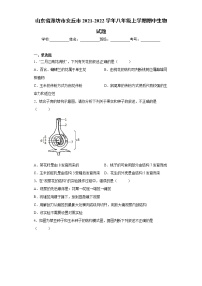 山东省潍坊市安丘市2021-2022学年八年级上学期期中生物试题（word版 含答案）