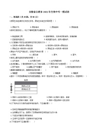 2021年安徽省合肥市中考生物一模试卷（解析版）