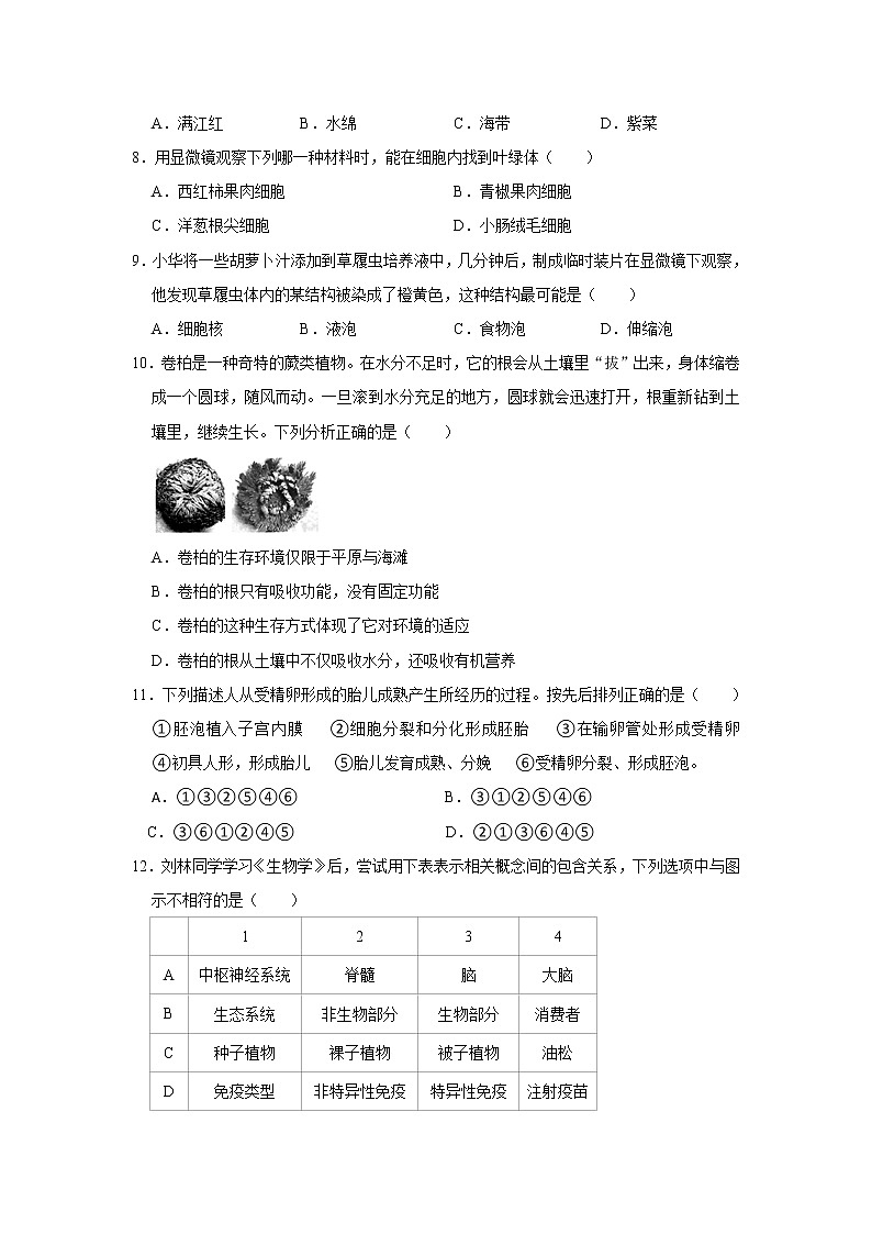 2021年湖南省岳阳市中考生物一模试卷（解析版）02