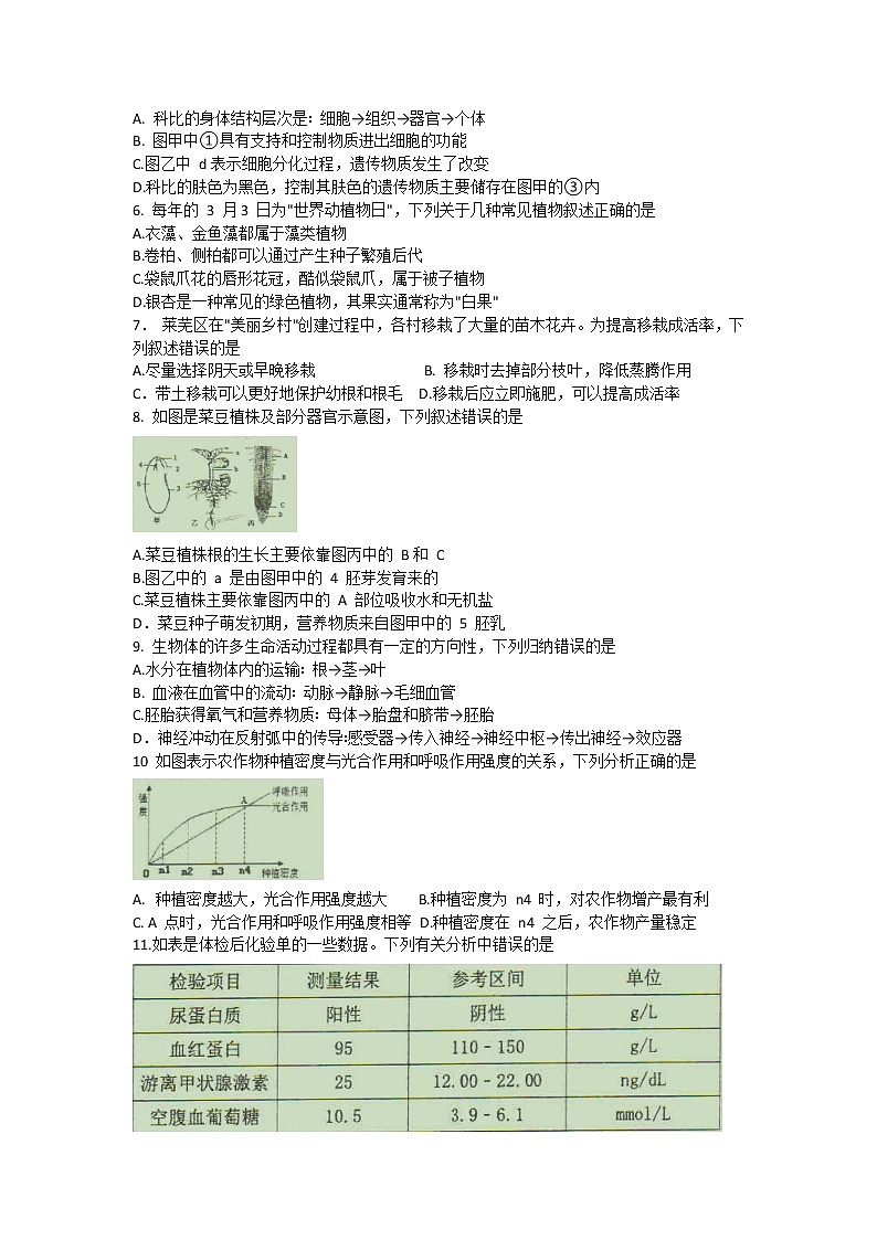 2020年山东省济南市莱芜区（五四制）中考一模生物试题02