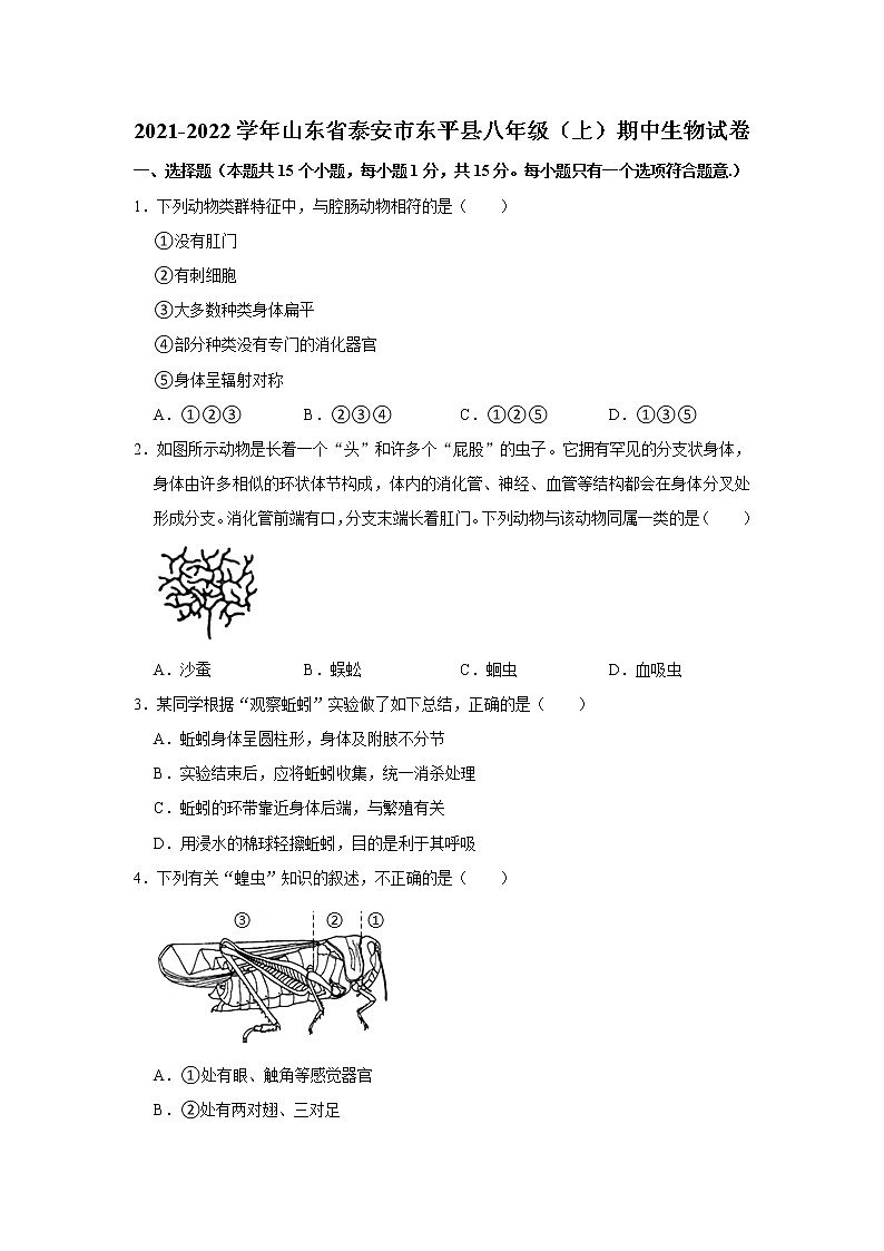 山东省泰安市东平县2021-2022学年上学期八年级期中生物【试卷+答案】01