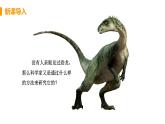 2020—2021学年人教版八年级下册7.3.2生物进化的历程 课件