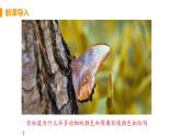 2020--2021学年人教版生物 八年级下册7.3.3 生物进化的原因-课件