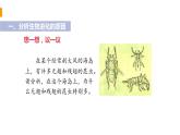 2020--2021学年人教版生物 八年级下册7.3.3 生物进化的原因-课件