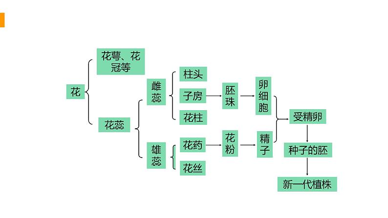 2020—2021学年人教版八年级下册7.1.1 植物的生殖课件第7页