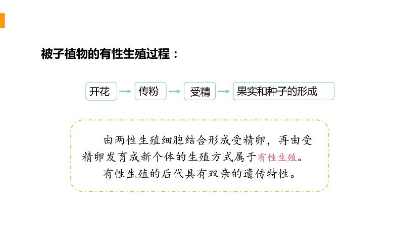 2020—2021学年人教版八年级下册7.1.1 植物的生殖课件第8页