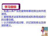 2020—2021学年人教版七年级生物下册课件-4.5 人体内废物的排出