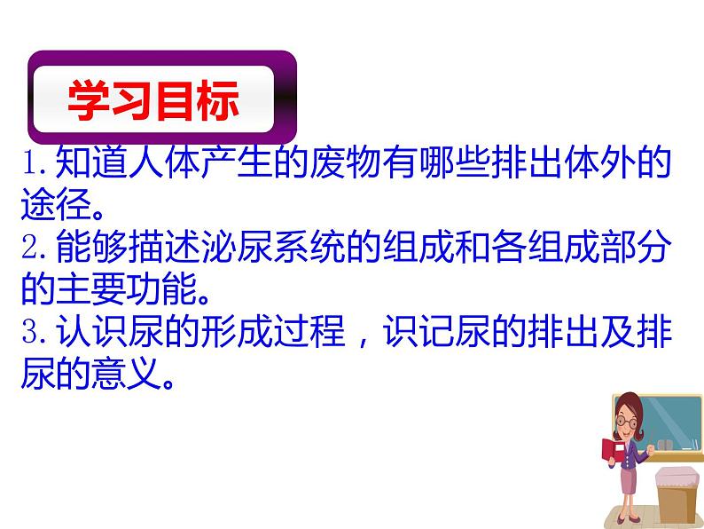 2020—2021学年人教版七年级生物下册课件-4.5 人体内废物的排出第2页