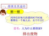 2020—2021学年人教版七年级生物下册课件-4.5 人体内废物的排出