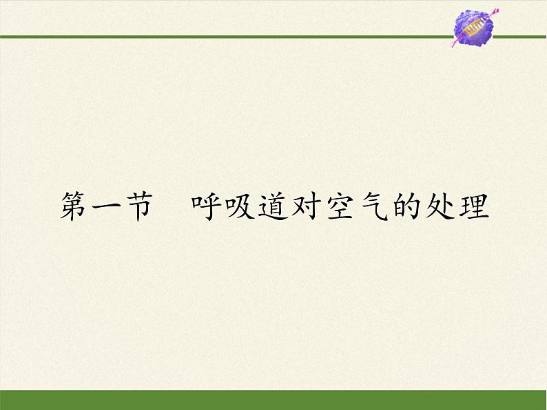 2020—2021学年人教版七年级生物下册课件-4.3.1 呼吸道对空气的处理  (1)第1页